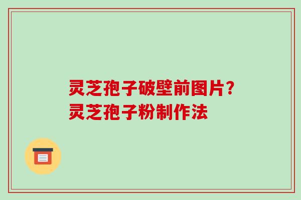 灵芝孢子破壁前图片？灵芝孢子粉制作法