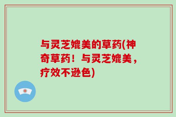 与灵芝媲美的草药(神奇草药！与灵芝媲美，疗效不逊色)