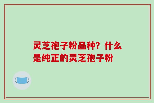 灵芝孢子粉品种？什么是纯正的灵芝孢子粉