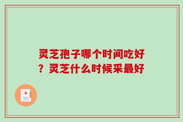灵芝孢子哪个时间吃好？灵芝什么时候采好