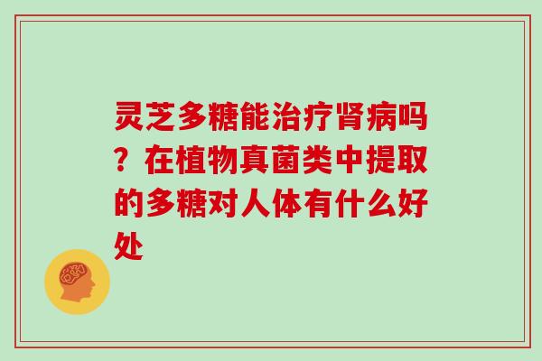 灵芝多糖能吗？在植物真菌类中提取的多糖对人体有什么好处
