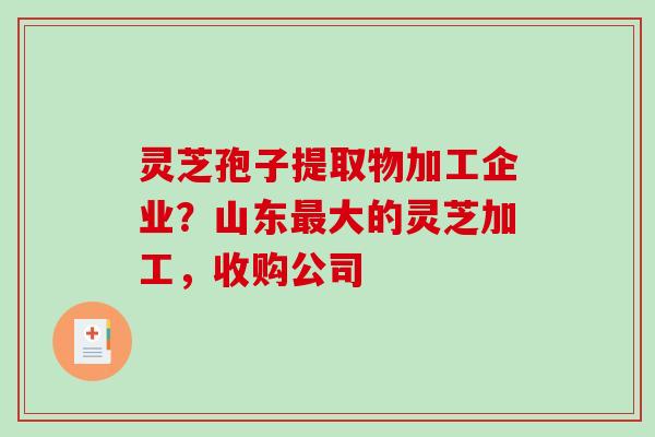 灵芝孢子提取物加工企业？山东大的灵芝加工，收购公司
