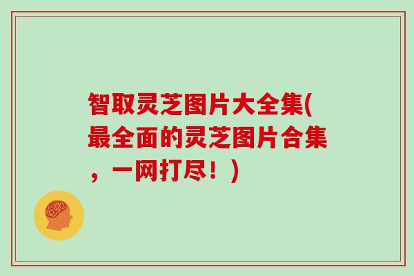 智取灵芝图片大全集(全面的灵芝图片合集，一网打尽！)