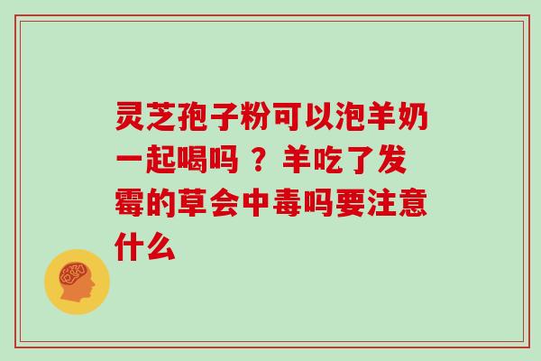灵芝孢子粉可以泡羊奶一起喝吗 ？羊吃了发霉的草会中毒吗要注意什么