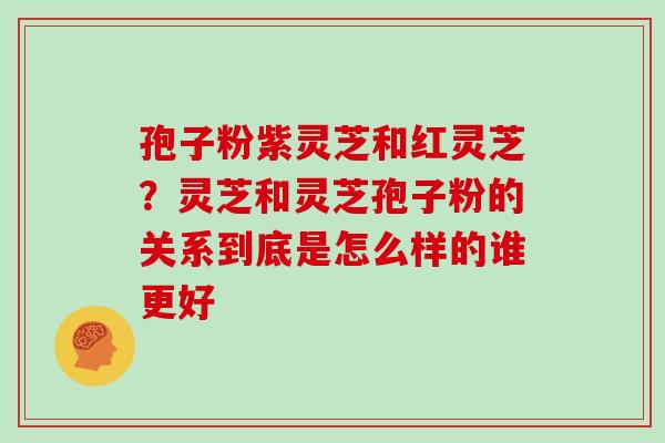 孢子粉紫灵芝和红灵芝？灵芝和灵芝孢子粉的关系到底是怎么样的谁更好
