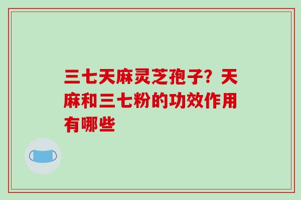 三七天麻灵芝孢子？天麻和三七粉的功效作用有哪些