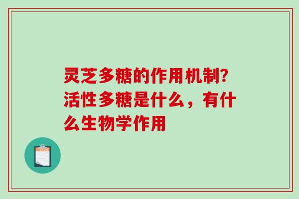灵芝多糖的作用机制？活性多糖是什么，有什么生物学作用