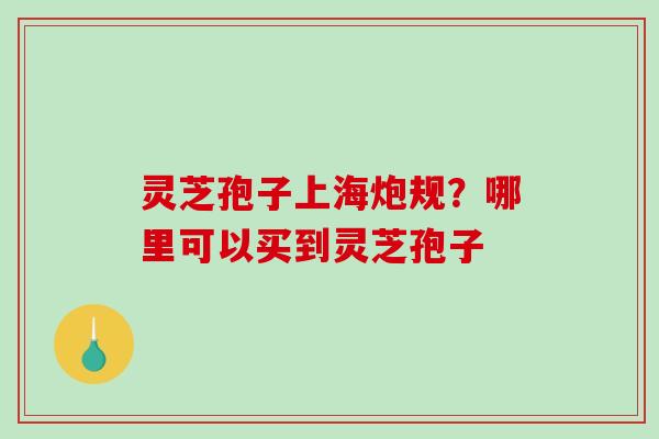 灵芝孢子上海炮规？哪里可以买到灵芝孢子