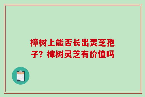 樟树上能否长出灵芝孢子？樟树灵芝有价值吗