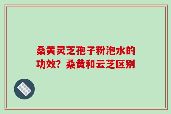 桑黄灵芝孢子粉泡水的功效?桑黄和云芝区别 桑黄灵芝孢子粉泡水的功效?桑黄和云芝区别
