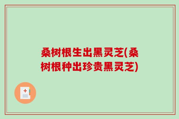 桑树根生出黑灵芝(桑树根种出珍贵黑灵芝) 桑树根生出黑灵芝(桑树根种出珍贵黑灵芝)