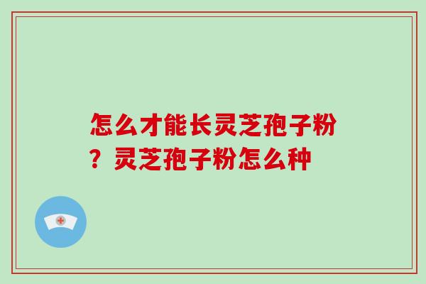 怎么才能长灵芝孢子粉?灵芝孢子粉怎么种 怎么才能长灵芝孢子粉?灵芝孢子粉怎么种