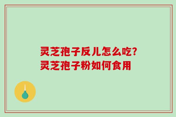 灵芝孢子反儿怎么吃？灵芝孢子粉如何食用
