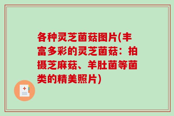 各种灵芝菌菇图片(丰富多彩的灵芝菌菇：拍摄芝麻菇、羊肚菌等菌类的精美照片)