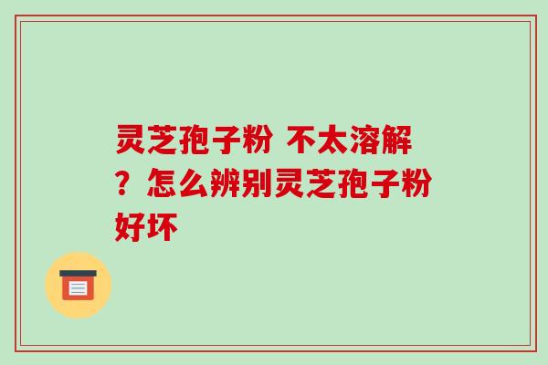 灵芝孢子粉 不太溶解？怎么辨别灵芝孢子粉好坏