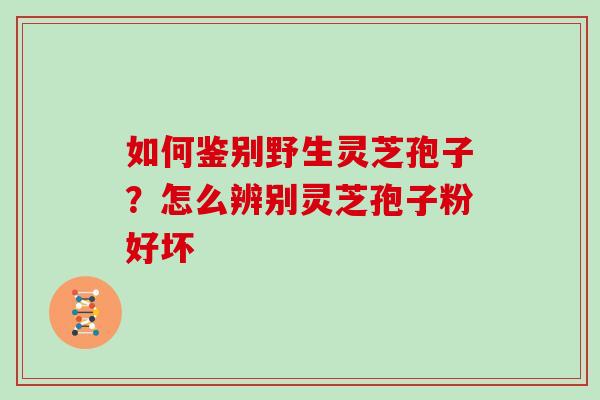 如何鉴别野生灵芝孢子？怎么辨别灵芝孢子粉好坏