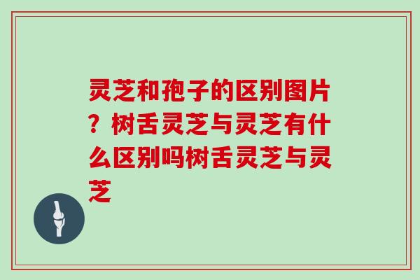 灵芝和孢子的区别图片?树舌灵芝与灵芝有什么区别吗树舌灵芝与灵芝 灵芝和孢子的区别图片?树舌灵芝与灵芝有什么区别吗树舌灵芝与灵芝