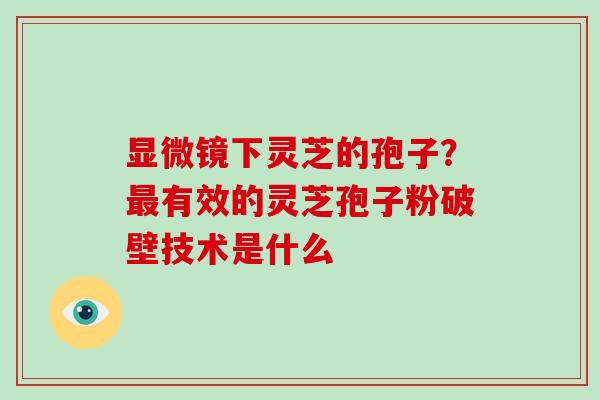 显微镜下灵芝的孢子？有效的灵芝孢子粉破壁技术是什么