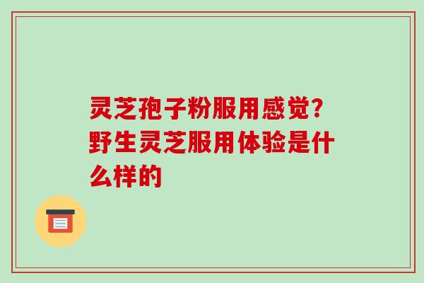 灵芝孢子粉服用感觉?野生灵芝服用体验是什么样的 灵芝孢子粉服用感觉?野生灵芝服用体验是什么样的