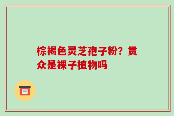 棕褐色灵芝孢子粉?贯众是裸子植物吗 棕褐色灵芝孢子粉?贯众是裸子植物吗
