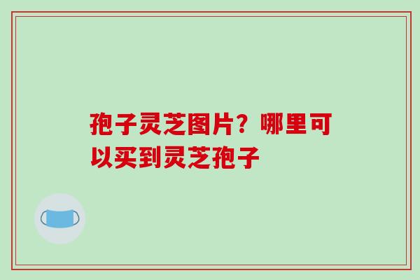 孢子灵芝图片?哪里可以买到灵芝孢子 孢子灵芝图片?哪里可以买到灵芝孢子