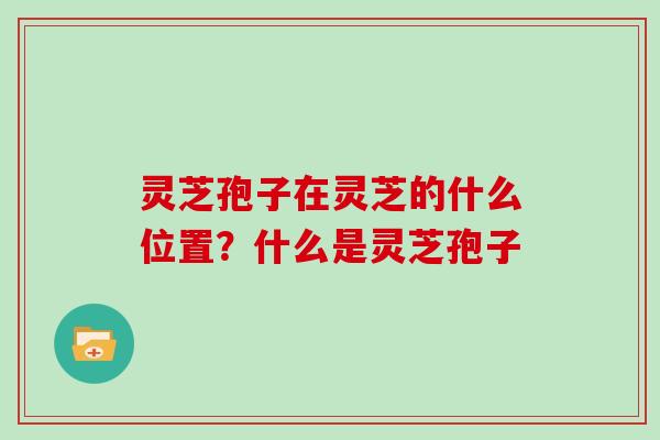 灵芝孢子在灵芝的什么位置?什么是灵芝孢子 灵芝孢子在灵芝的什么位置?什么是灵芝孢子