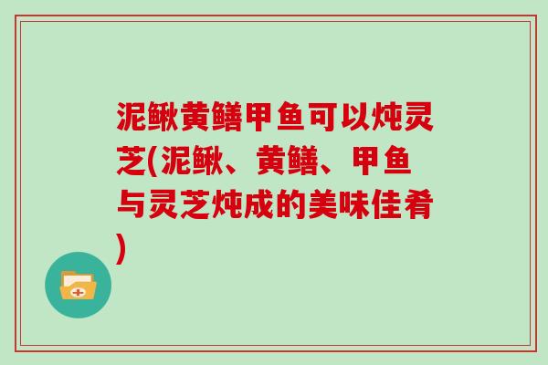 泥鳅黄鳝甲鱼可以炖灵芝(泥鳅、黄鳝、甲鱼与灵芝炖成的美味佳肴)