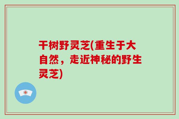 干树野灵芝(重生于大自然，走近神秘的野生灵芝)