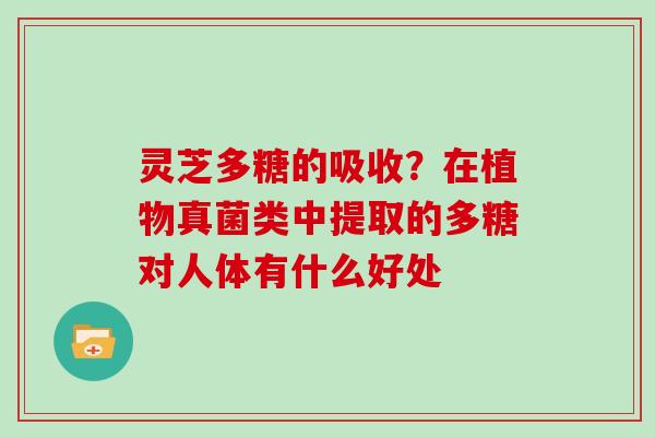 灵芝多糖的吸收？在植物真菌类中提取的多糖对人体有什么好处
