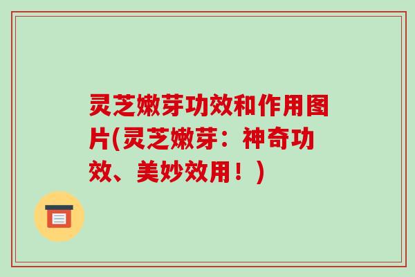 灵芝嫩芽功效和作用图片(灵芝嫩芽：神奇功效、美妙效用！)