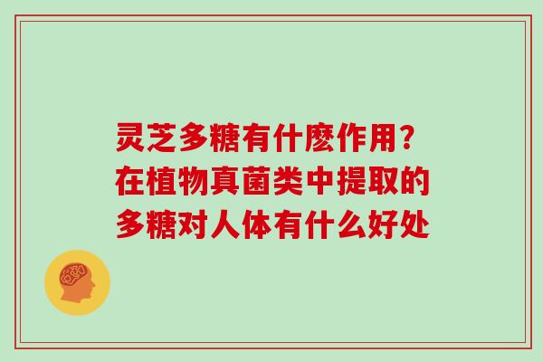 灵芝多糖有什麽作用？在植物真菌类中提取的多糖对人体有什么好处