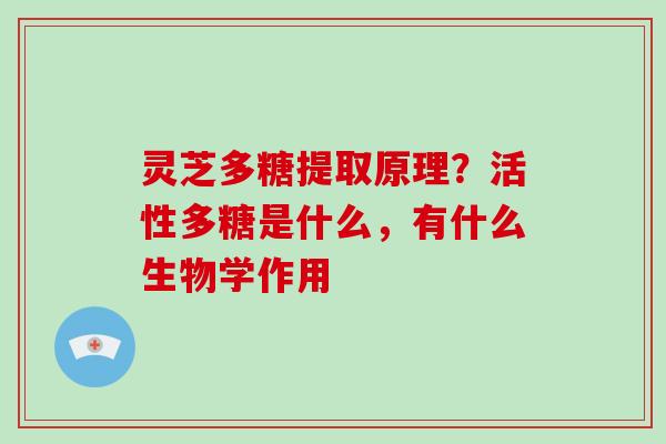 灵芝多糖提取原理？活性多糖是什么，有什么生物学作用