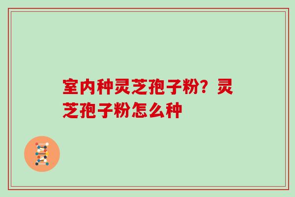 室内种灵芝孢子粉？灵芝孢子粉怎么种