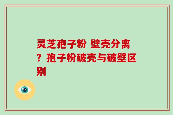灵芝孢子粉 壁壳分离？孢子粉破壳与破壁区别