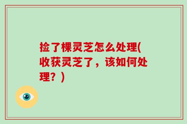捡了棵灵芝怎么处理(收获灵芝了，该如何处理？)