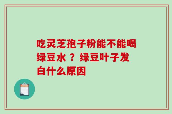 吃灵芝孢子粉能不能喝绿豆水 ？绿豆叶子发白什么原因