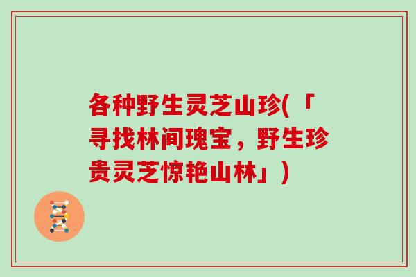 各种野生灵芝山珍(「寻找林间瑰宝，野生珍贵灵芝惊艳山林」)