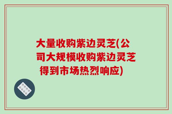 大量收购紫边灵芝(公司大规模收购紫边灵芝 得到市场热烈响应)