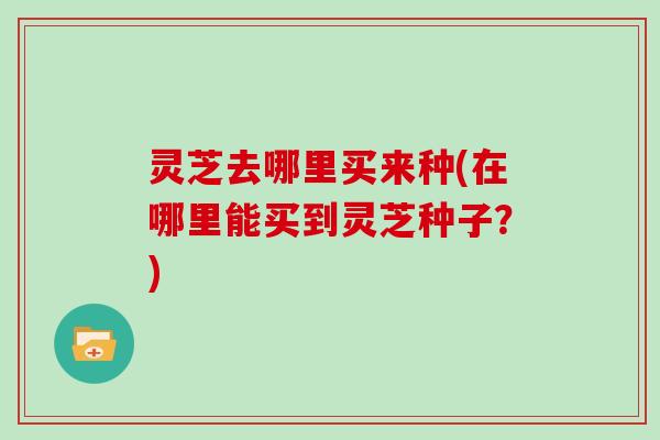 灵芝去哪里买来种(在哪里能买到灵芝种子？)