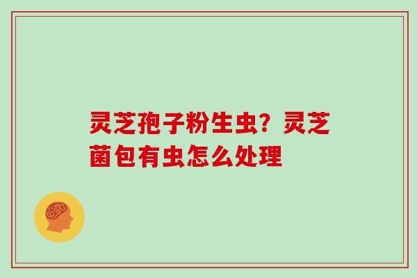 灵芝孢子粉生虫？灵芝菌包有虫怎么处理