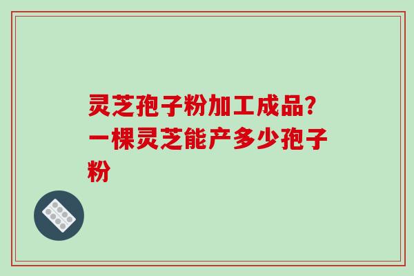 灵芝孢子粉加工成品？一棵灵芝能产多少孢子粉