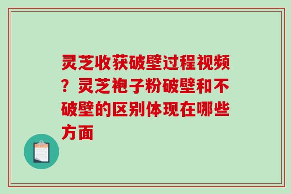 灵芝收获破壁过程视频？灵芝袍子粉破壁和不破壁的区别体现在哪些方面