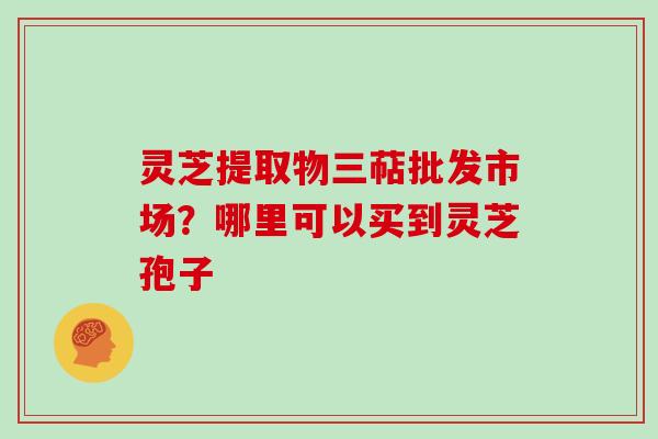 灵芝提取物三萜批发市场？哪里可以买到灵芝孢子