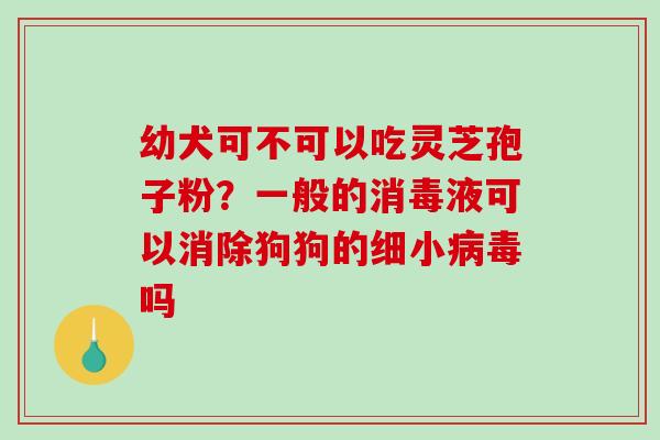 幼犬可不可以吃灵芝孢子粉？一般的消毒液可以消除狗狗的细小吗