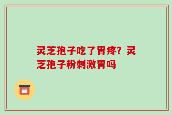 灵芝孢子吃了胃疼？灵芝孢子粉刺激胃吗