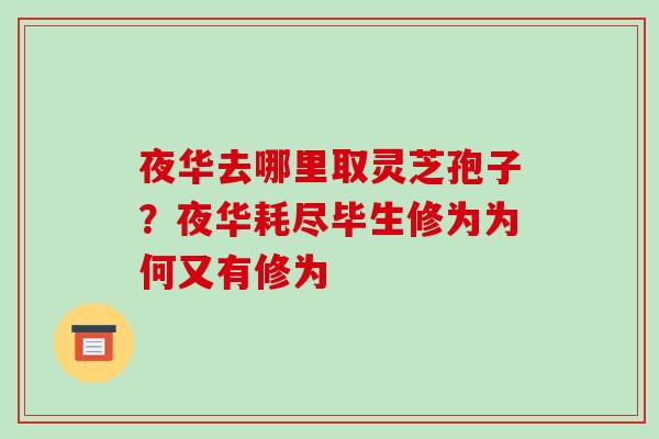 夜华去哪里取灵芝孢子？夜华耗尽毕生修为为何又有修为