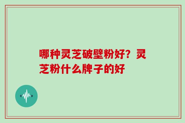 哪种灵芝破壁粉好？灵芝粉什么牌子的好