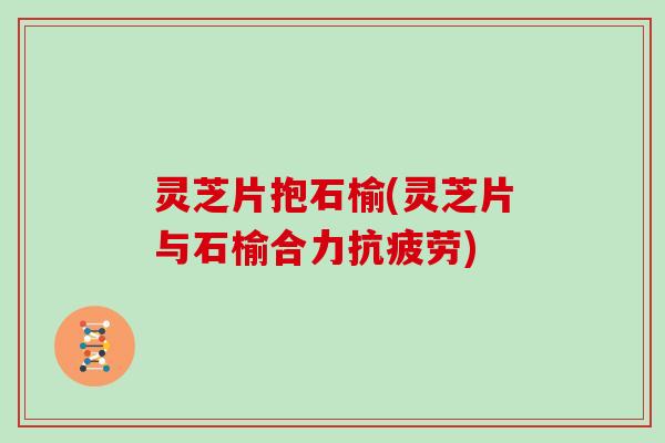 灵芝片抱石榆(灵芝片与石榆合力)