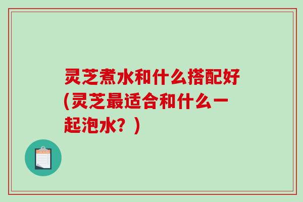 灵芝煮水和什么搭配好(灵芝适合和什么一起泡水？)