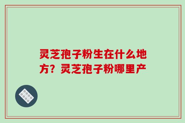 灵芝孢子粉生在什么地方？灵芝孢子粉哪里产